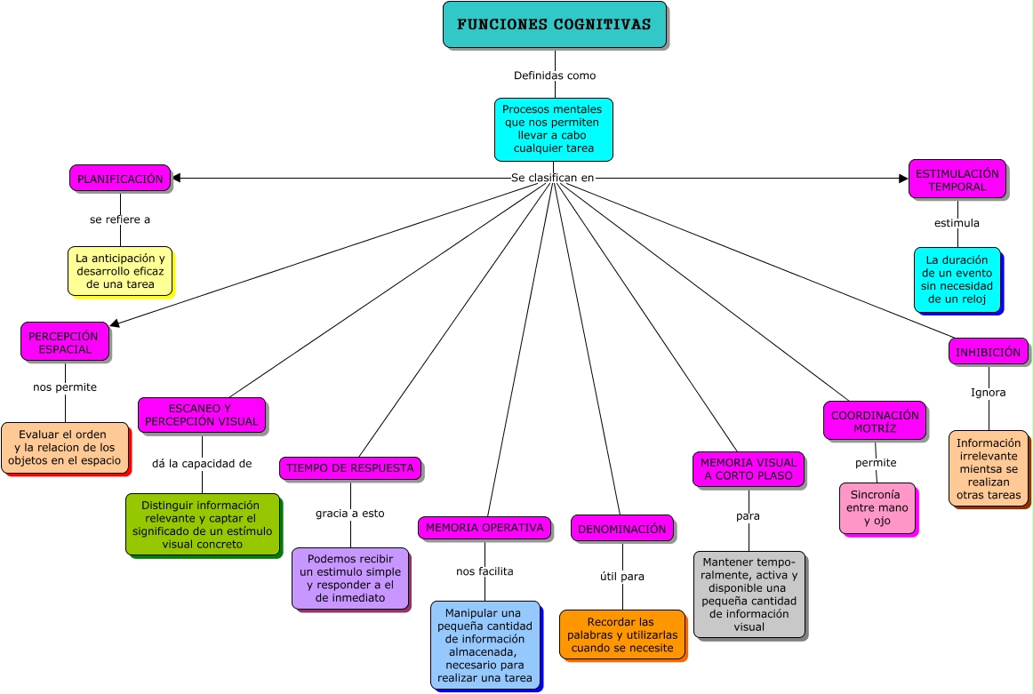 Funciones Cognitivas ¿qué Son Y Cómo Se Desarrollan Las Funciones Cognitivas 3967